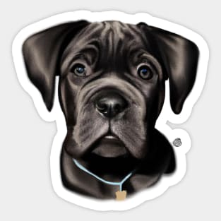 Cute Cane Corso Drawing Sticker